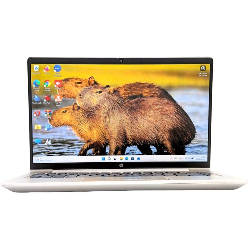 HP ProBook 445 G10/Ryzen3-7330U/16GB/256GB (Odnowiony)